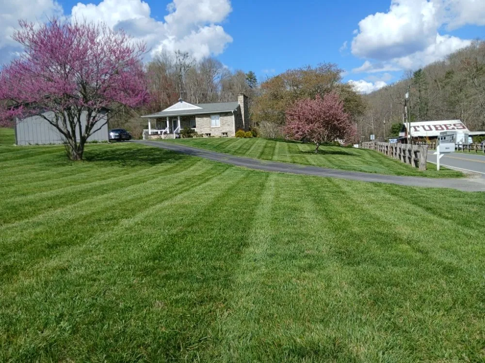 Local outdoor landscaping in Whittier, NC - Mad Beaver Landscaping