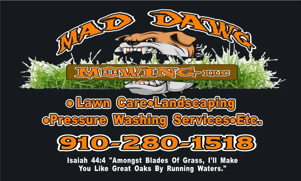 Affordable lawn care service for year-round maintenance in Rowland, NC by Mad Dawg Mowing