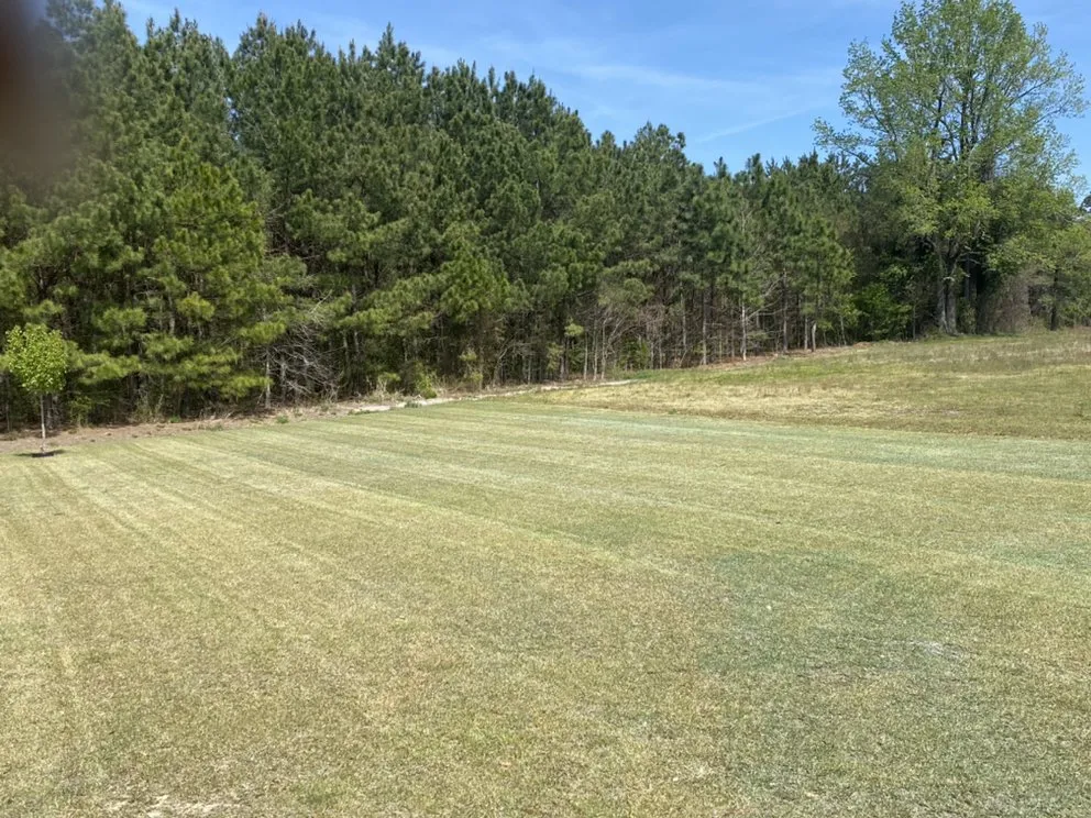 Custom landscaping services for outdoor upgrades in Rowland, NC by Mad Dawg Mowing