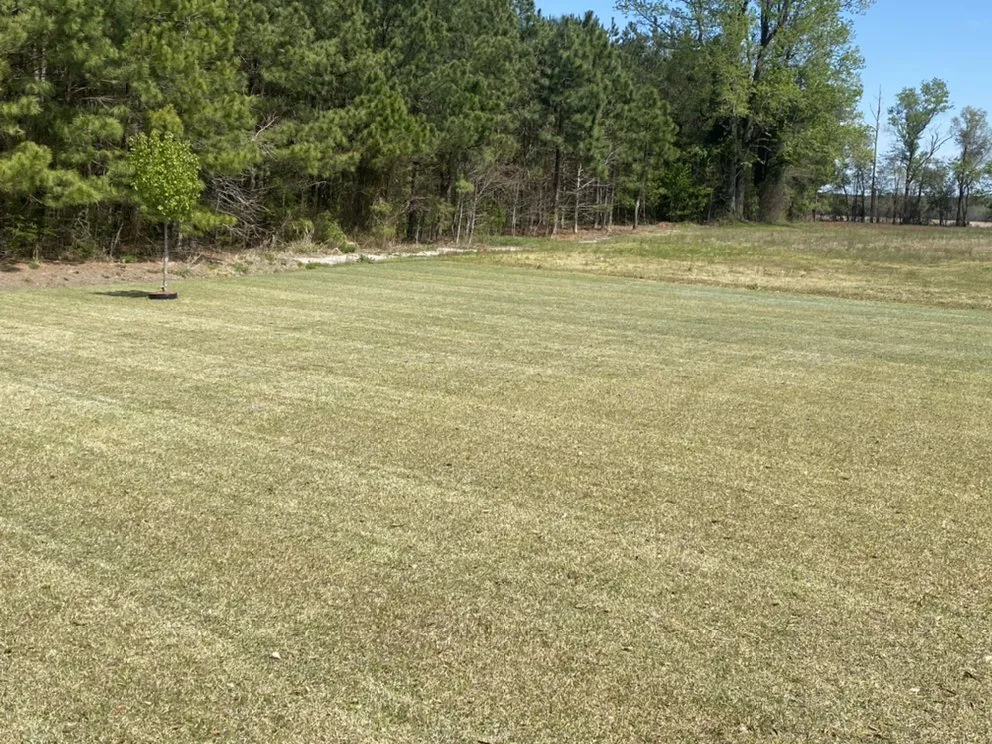 Expert residential landscaping in Rowland, NC - Mad Dawg Mowing