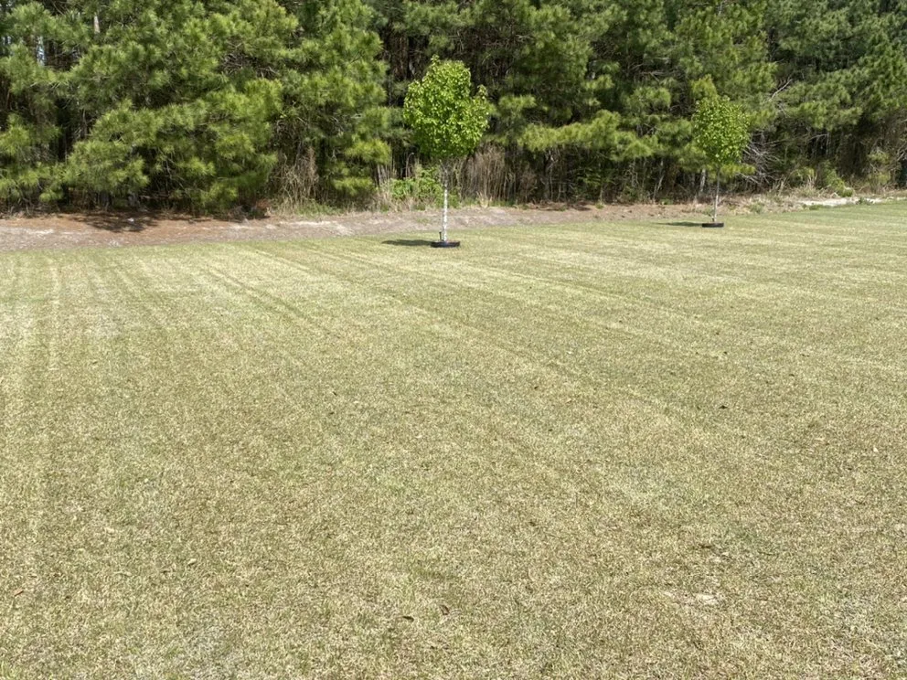 Expert residential landscaping in Rowland, NC by Mad Dawg Mowing