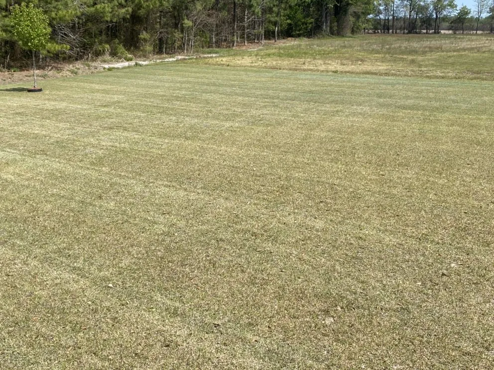 Professional landscape design experts serving Rowland, NC - Mad Dawg Mowing