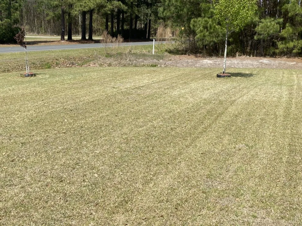 Expert landscape design for outdoor upgrades across Rowland, NC - Mad Dawg Mowing