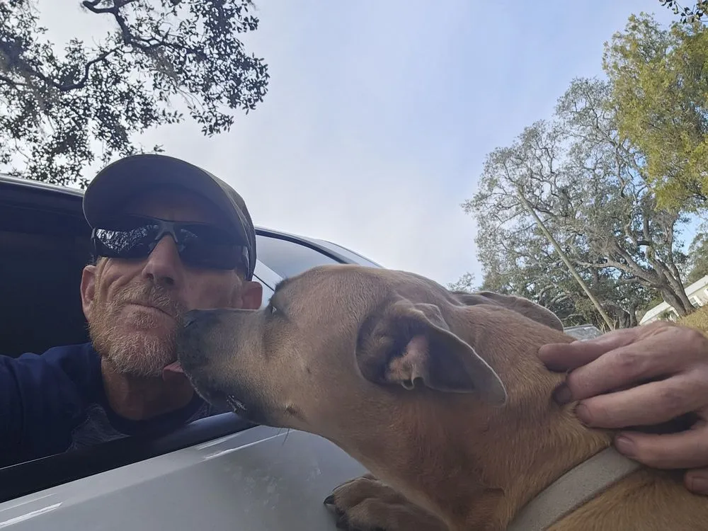 Affordable landscape design for homes in New Port Richey, FL by MAD Handy Services