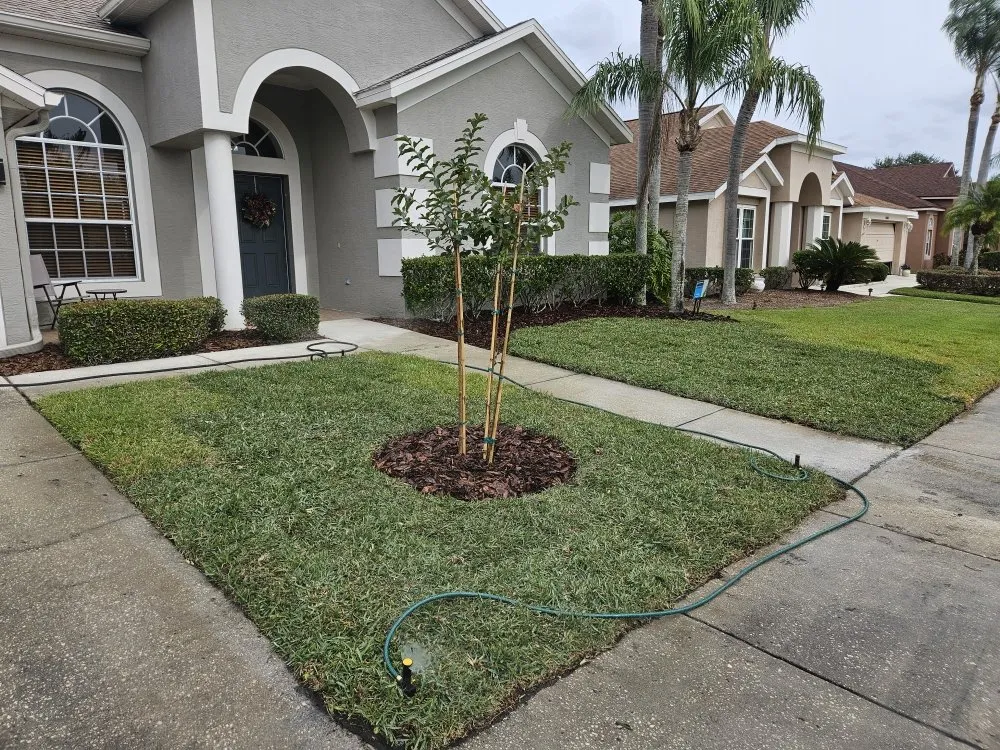 Affordable yard cleanup service for outdoor upgrades across New Port Richey, FL - MAD Handy Services