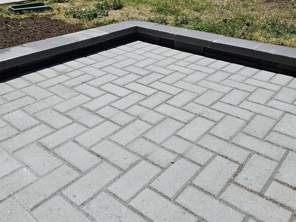 Local lawn care service for year-round maintenance in New Port Richey, FL by MAD Handy Services