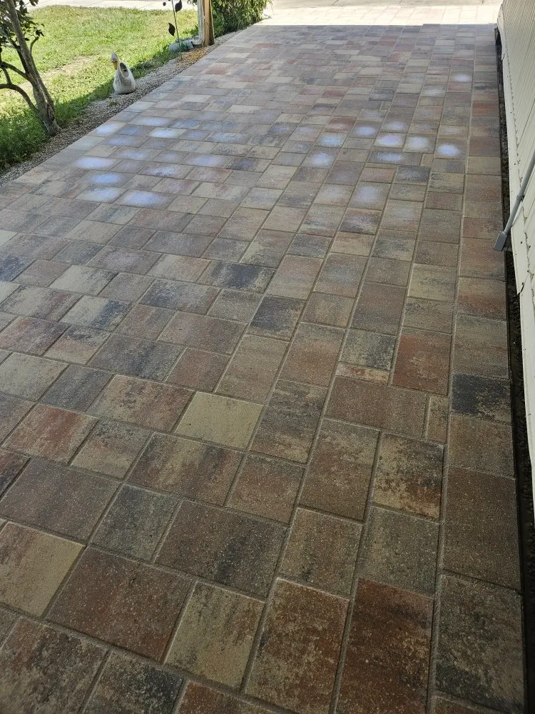 Custom yard maintenance in New Port Richey, FL by MAD Handy Services