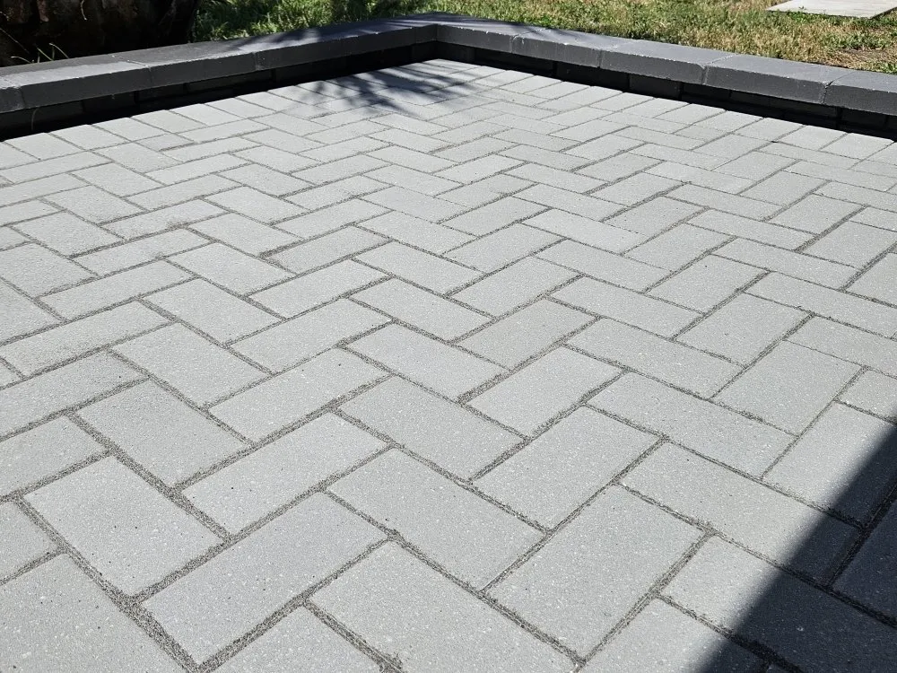 Reliable yard cleanup service in New Port Richey, FL - MAD Handy Services