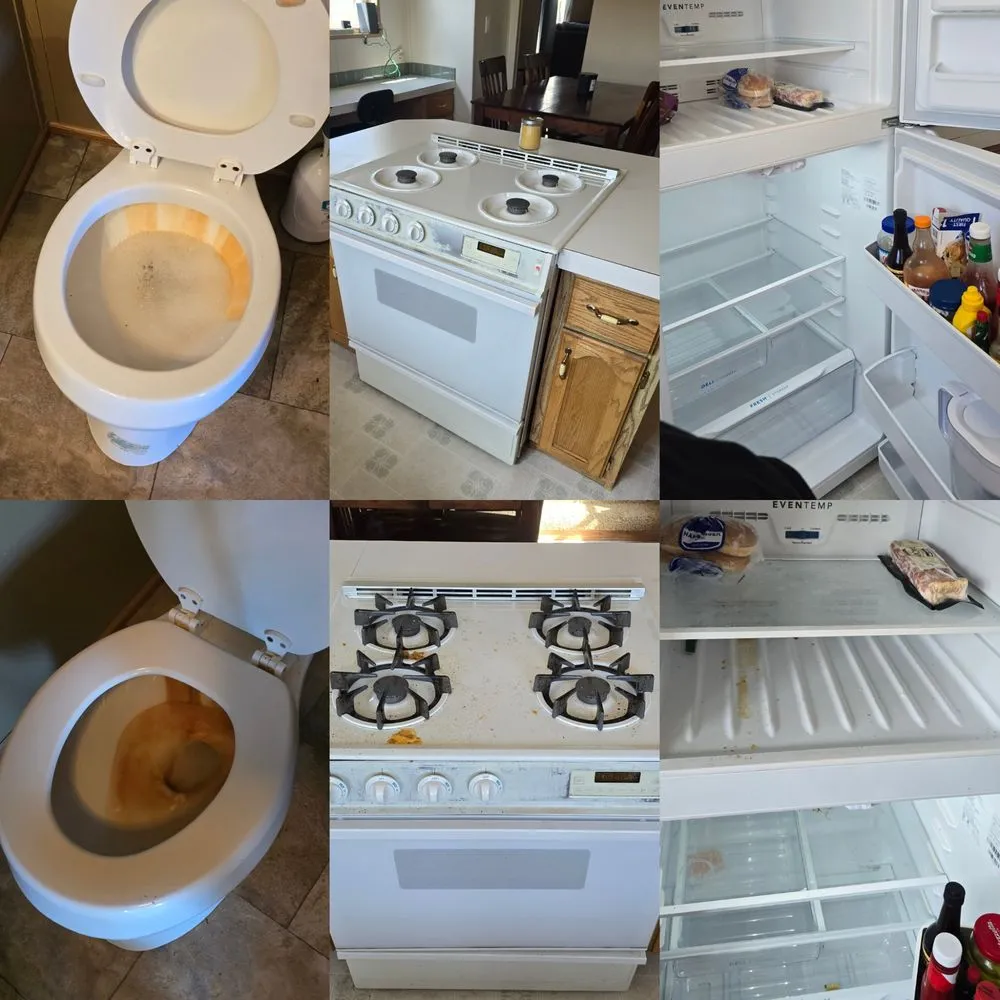 Reliable outdoor landscaping for residential properties across Laurel, MT - Mad Improvements