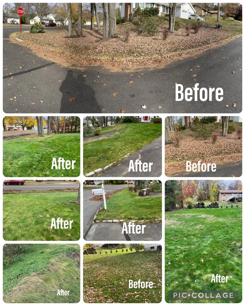 Reliable landscaping services experts serving Manchester, CT - M.A.D. landscape Services
