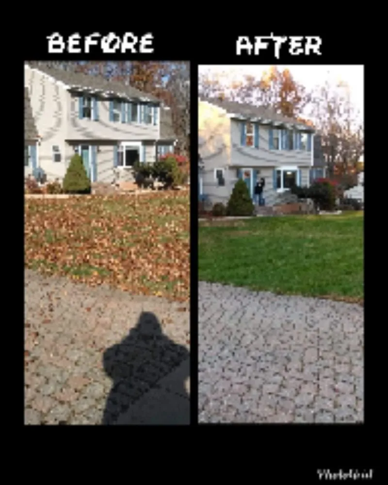 Affordable yard cleanup service in Manchester, CT by M.A.D. landscape Services