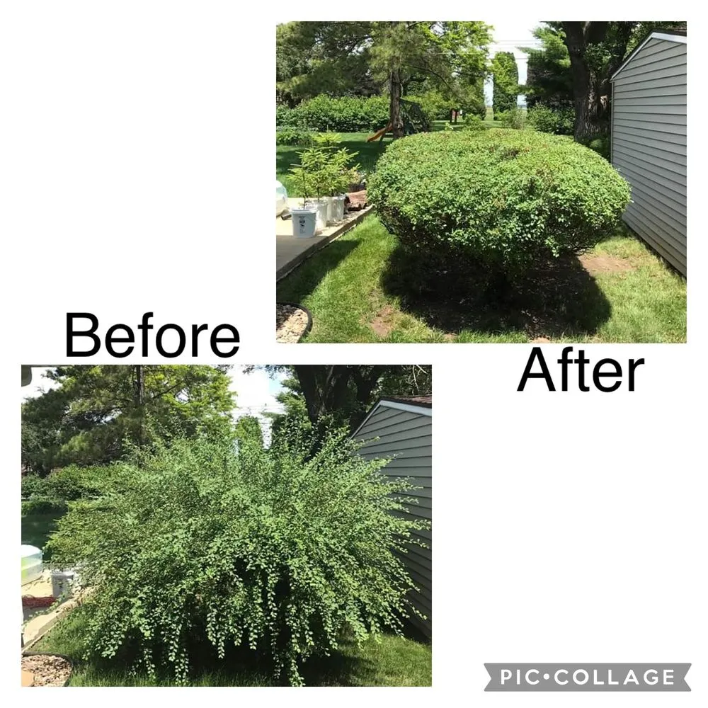 Expert residential landscaping experts serving Manchester, CT - M.A.D. landscape Services