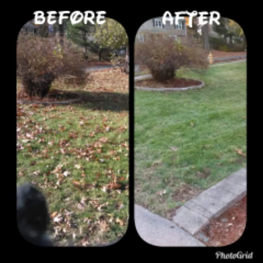 Professional landscape design experts serving Manchester, CT - M.A.D. landscape Services