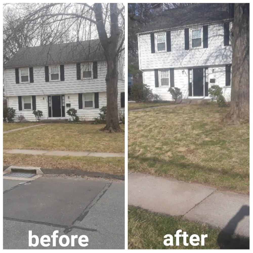 Trusted yard cleanup service for beautiful yards in Manchester, CT by M.A.D. landscape Services