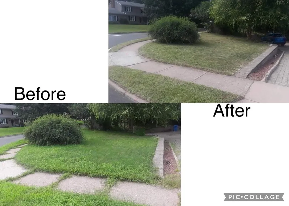 Reliable yard cleanup service in Manchester, CT - M.A.D. landscape Services