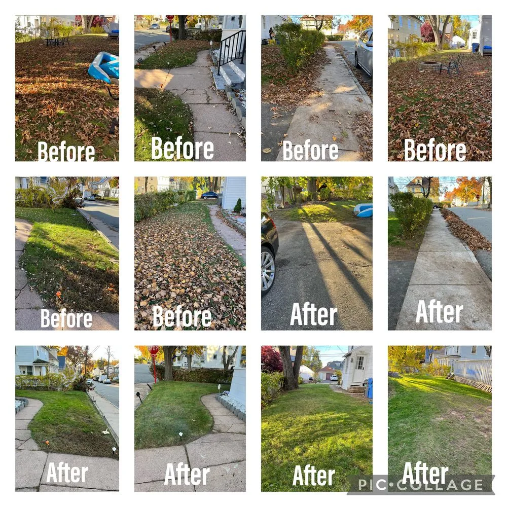 Affordable garden landscaping in Manchester, CT by M.A.D. landscape Services