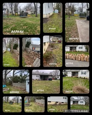 M.A.D. landscape Services