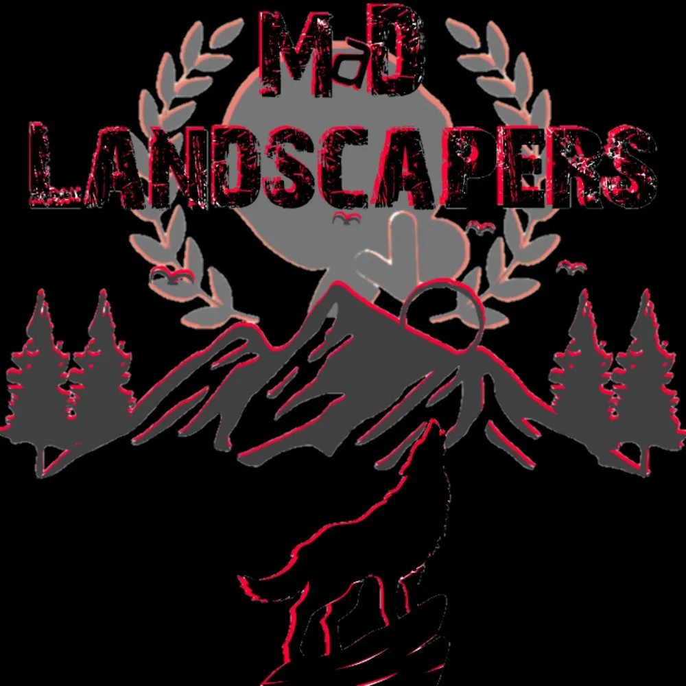 Trusted yard maintenance near you across La Madera, NM - MaD Landscapers