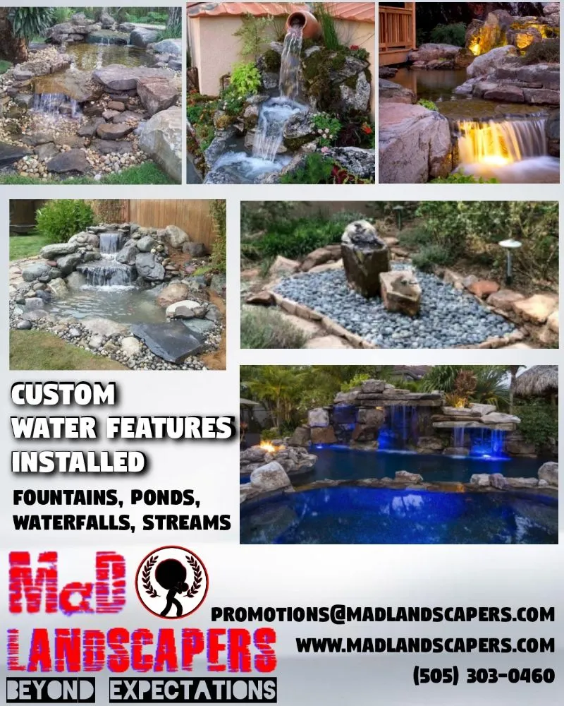 Professional yard cleanup service in La Madera, NM by MaD Landscapers