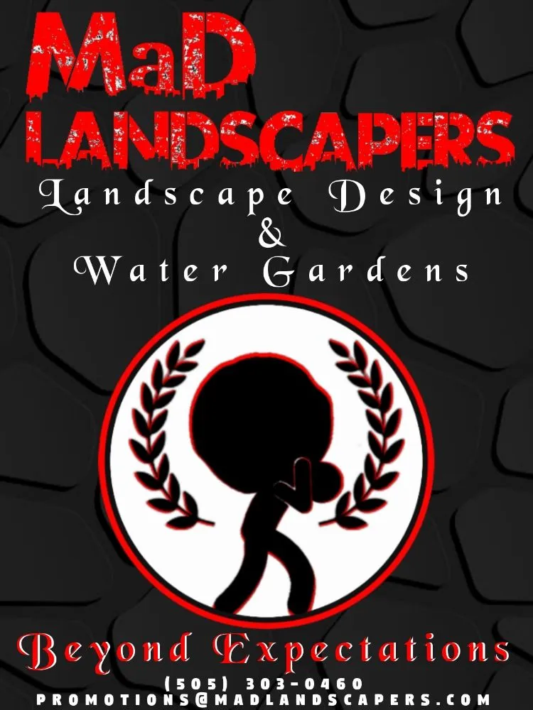 Professional yard maintenance experts serving Ojo Caliente, NM - MaD Landscapers