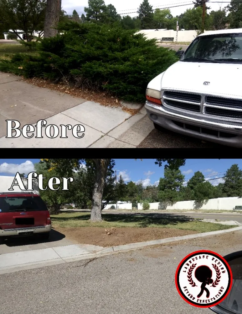 Expert yard cleanup service near you across Ojo Caliente, NM - MaD Landscapers