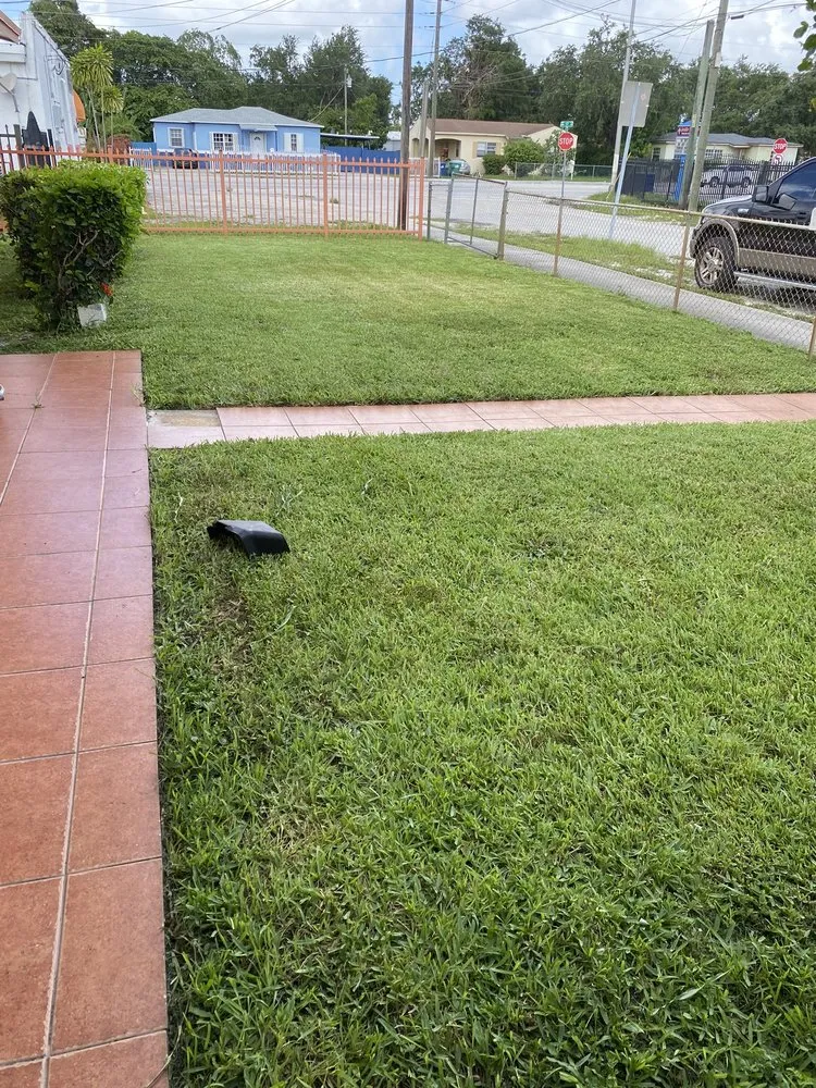 Reliable lawn care service in Miami Gardens, FL - Mad Landscaping