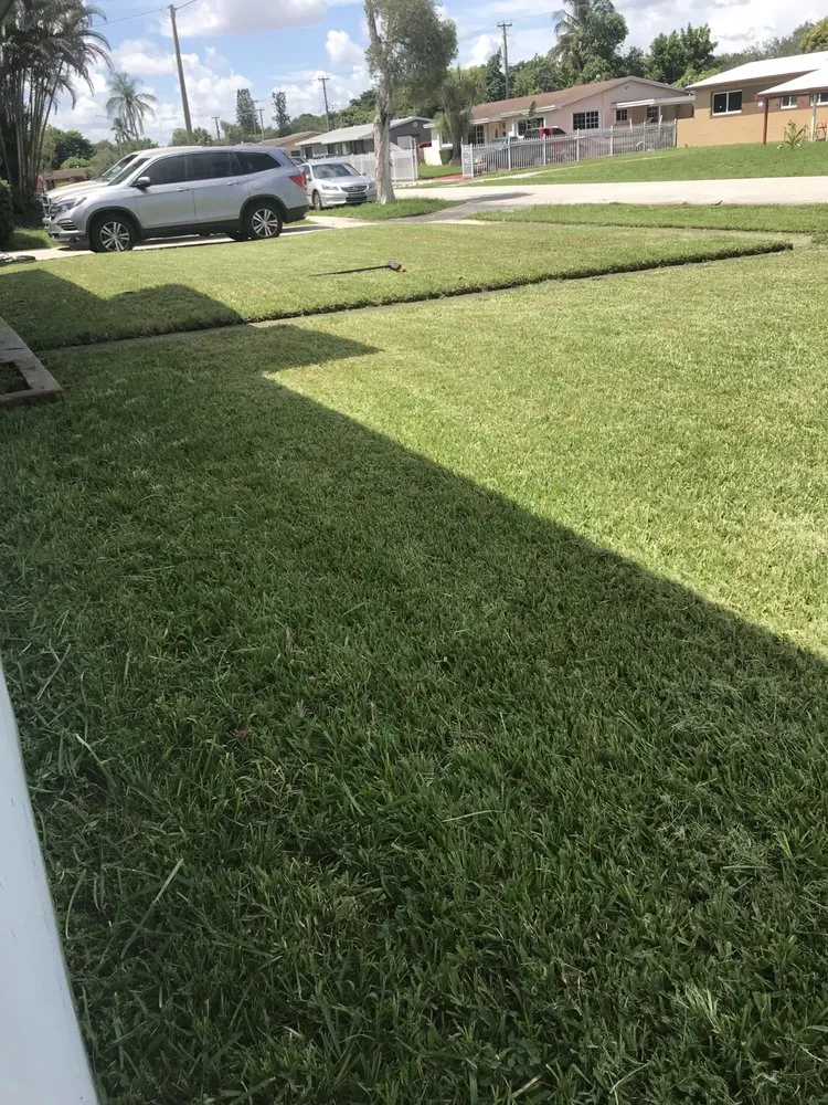 Expert lawn mowing service experts serving Miami Gardens, FL - Mad Landscaping