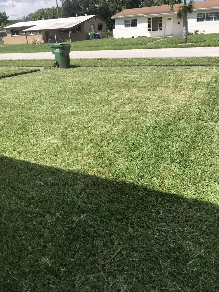 Expert outdoor landscaping for year-round maintenance in Miami Gardens, FL by Mad Landscaping