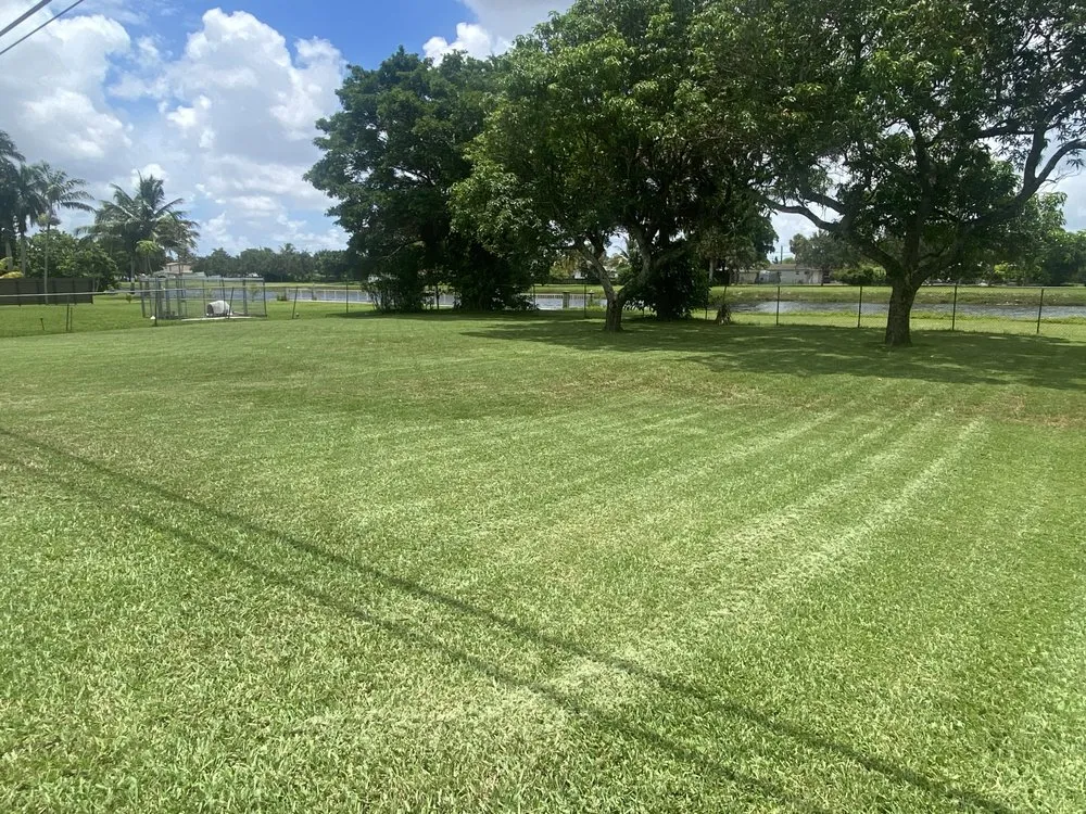 Top-rated lawn care service experts serving Miami Gardens, FL - Mad Landscaping