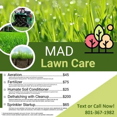 Mad Lawn Care Logo