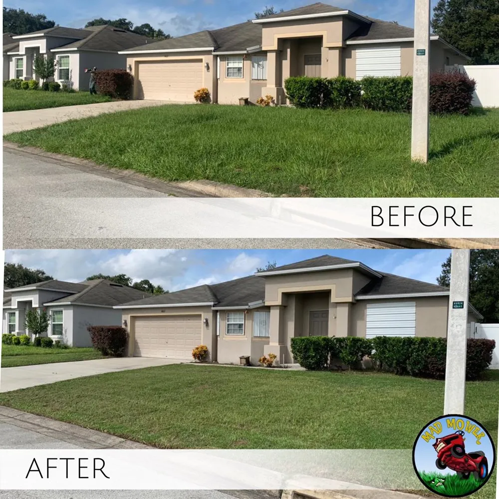 Top-rated yard cleanup service in Lake Alfred, FL by Mad Mower Lawn Care Services