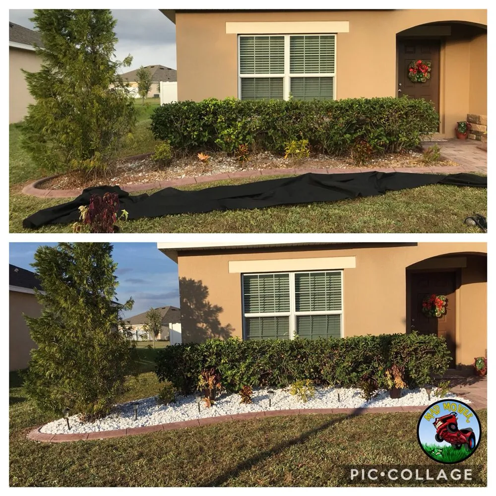 Trusted residential landscaping for residential properties across Lake Alfred, FL - Mad Mower Lawn Care Services