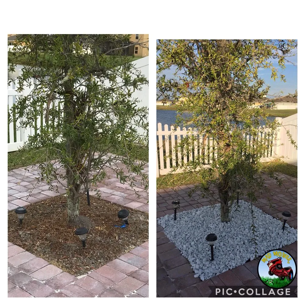 Professional outdoor landscaping for homes across Lake Alfred, FL - Mad Mower Lawn Care Services