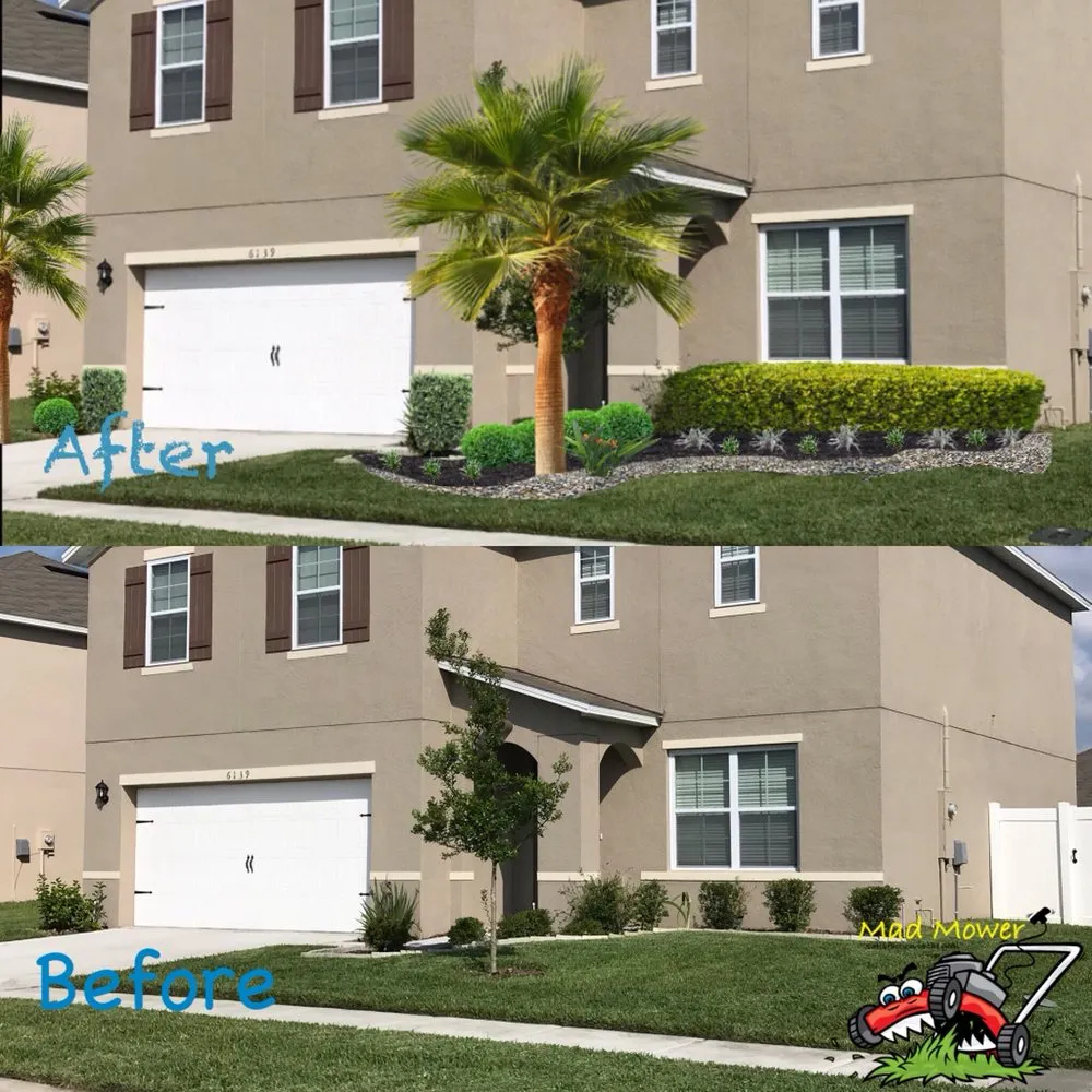 Affordable lawn mowing service experts serving Lake Alfred, FL - Mad Mower Lawn Care Services