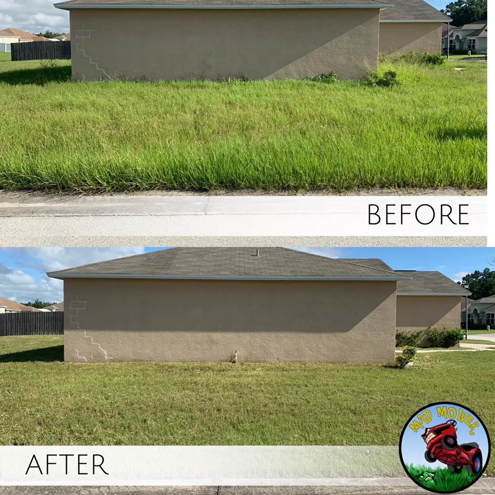 Professional lawn care service in Lake Alfred, FL - Mad Mower Lawn Care Services