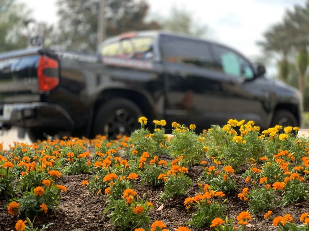 Custom landscape installation in Lake Alfred, FL by Mad Mower Lawn Care Services