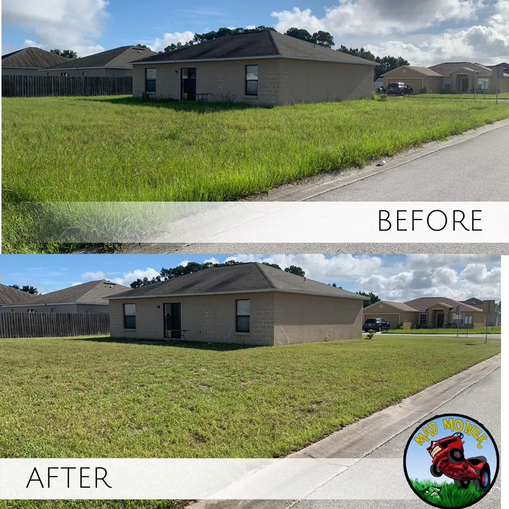 Local outdoor landscaping in Lake Alfred, FL - Mad Mower Lawn Care Services