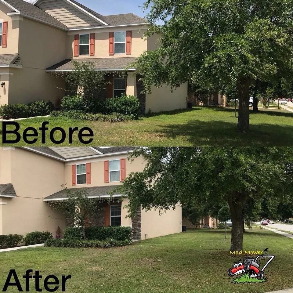 Top-rated landscape installation for beautiful yards across Lake Alfred, FL - Mad Mower Lawn Care Services
