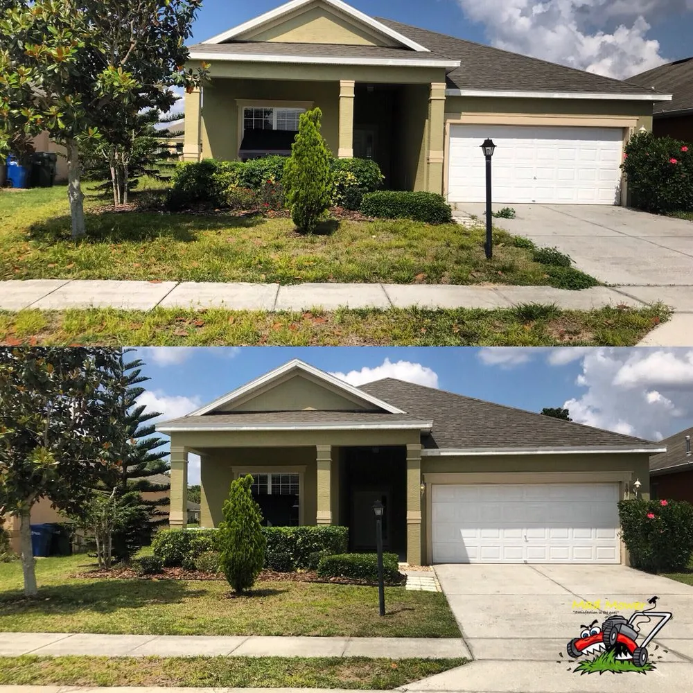 Professional landscape installation in Lake Alfred, FL - Mad Mower Lawn Care Services
