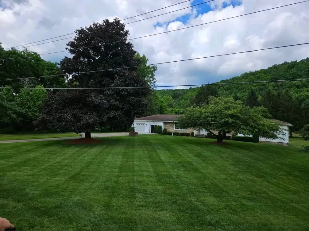 Custom landscape installation in Salamanca, NY - MAD Property Management