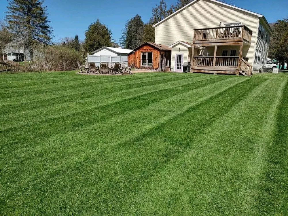 Trusted yard cleanup service experts serving Salamanca, NY - MAD Property Management