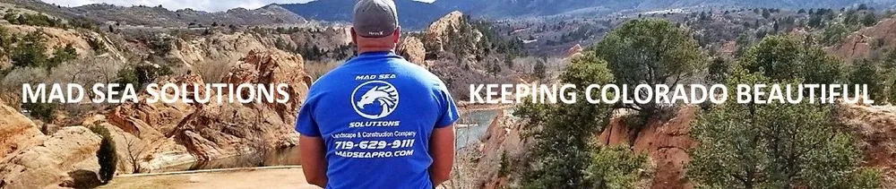 Reliable yard cleanup service experts serving Colorado Springs, CO - Mad Sea Landscape Construction Solutions