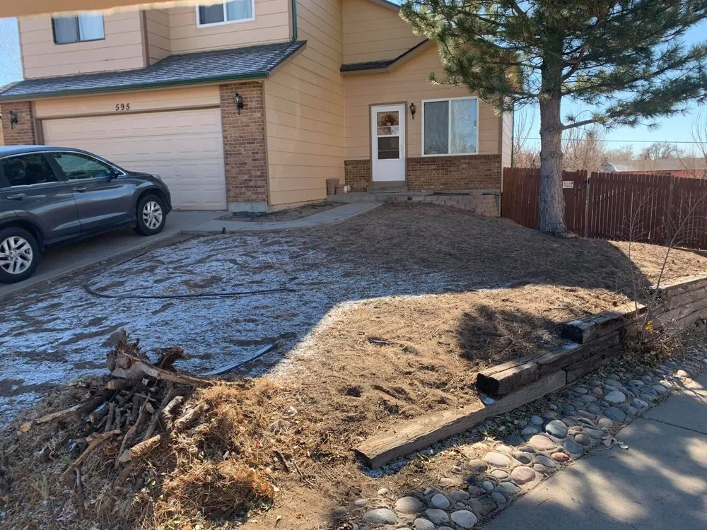 Expert lawn care service for year-round maintenance in Colorado Springs, CO by Mad Sea Landscape Construction Solutions