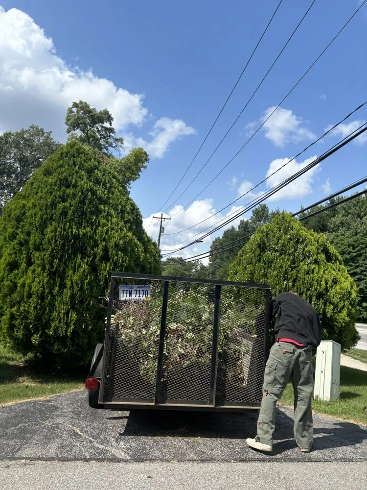 Professional lawn care service experts serving Toledo, OH - Mad Trash Removal