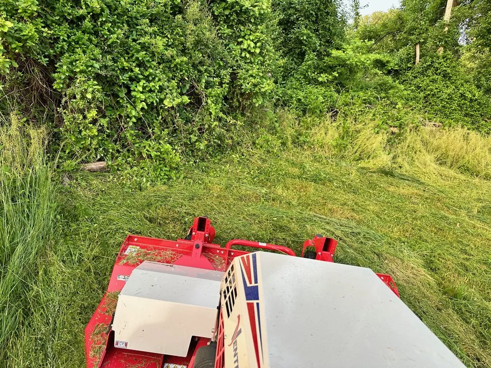 Affordable lawn mowing service with custom design across Forest Hill, MD - Madbar Outdoors