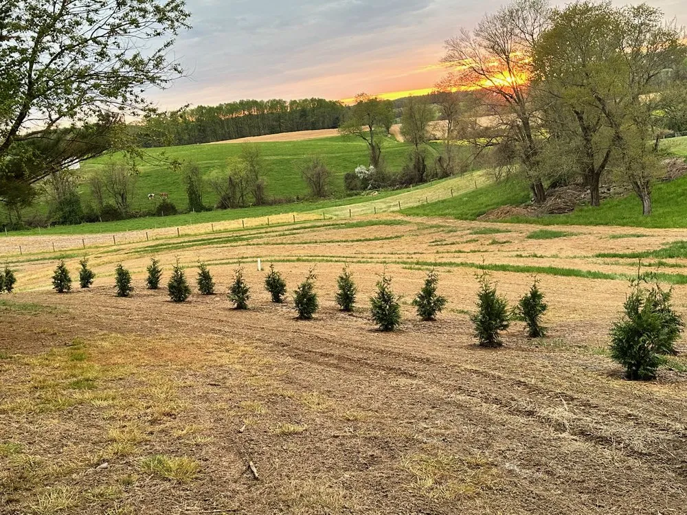 Top-rated yard cleanup service for beautiful yards in Forest Hill, MD by Madbar Outdoors