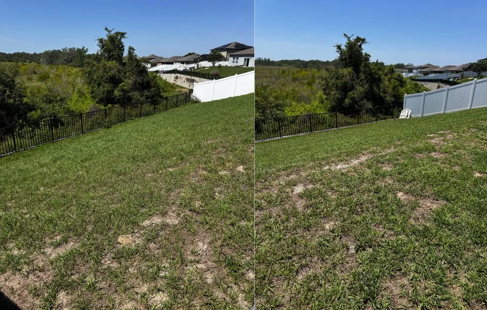 Local landscape installation in Groveland, FL - Madden Cut & Clean