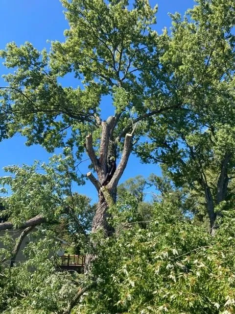 Expert garden landscaping experts serving Beaver Falls, PA - Madden’s Lawn & Landscaping