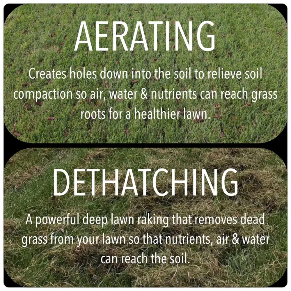 Trusted yard cleanup service in Beaver Falls, PA by Madden’s Lawn & Landscaping