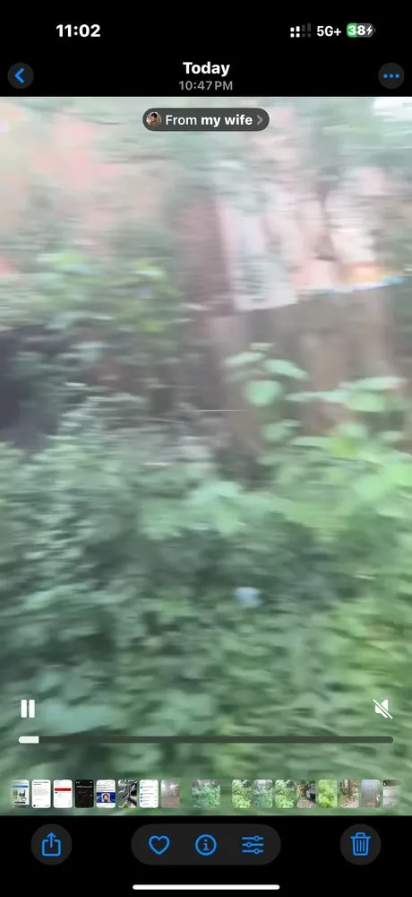 Expert landscaping services experts serving Swansea, IL - Maddex and Landscaping